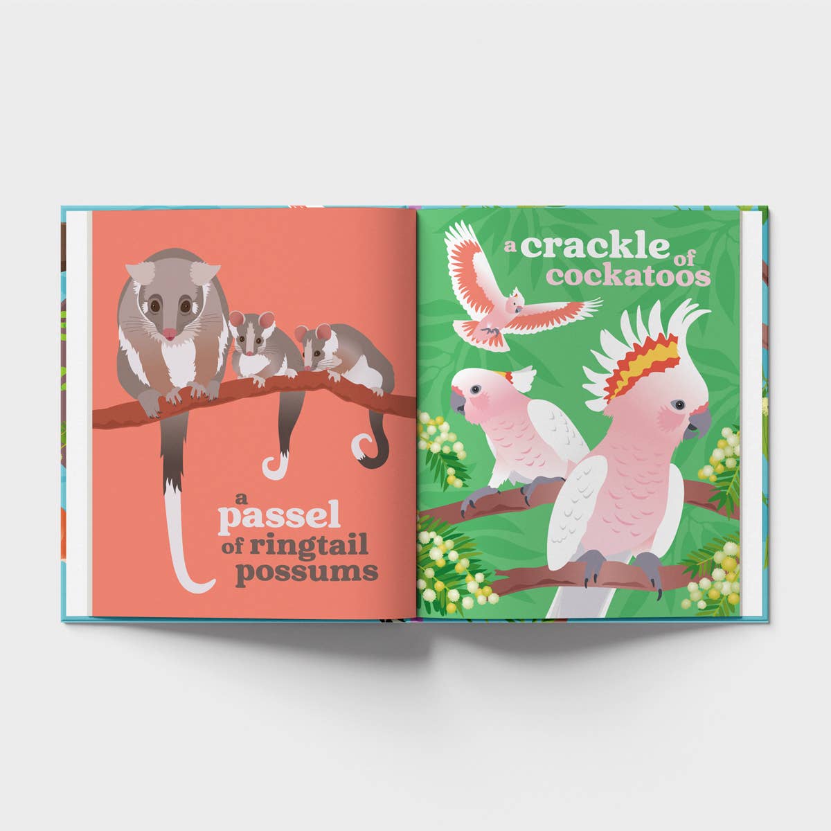 Collective Nouns of Australian Animals