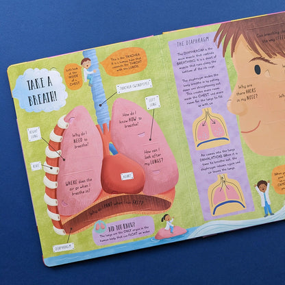 How Does the Human Body Work? (lift-the-flap)